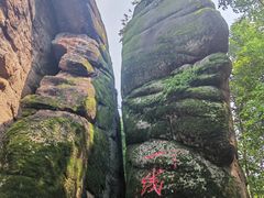 -汤旺河林海奇石景区