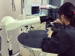 -1013 PET SHOP 宠物商店(近铁城市广场店)