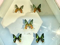 -青藏高原自然博物馆