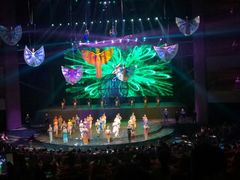 -水秀国际大剧院