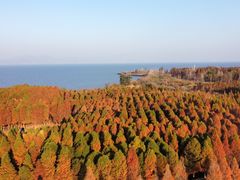 -捞渔河湿地公园