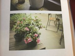 -城南花开咖啡(稻花村店)