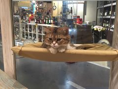 -小时光咖啡馆(开森度假森林店)