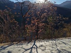 -北京鹫峰国家森林公园