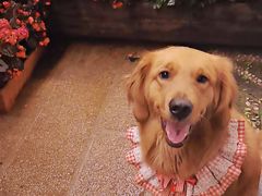 -浔岚云舍mist静谧观景美宿(丽江古城店)