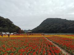 -广州市石门国家森林公园