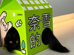 -龙湖成都上城天街