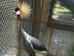 秦岭野生动物园-西安秦岭野生动物园