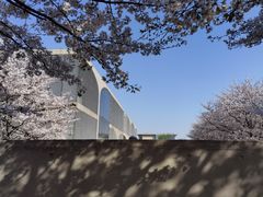 -龙美术馆(西岸馆)