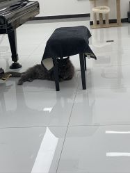 -熙.Hair 丨专注女子中长发丨
