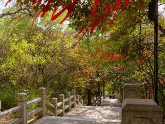 -灵岩山风景区