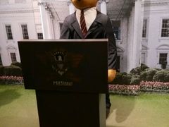 -济州岛泰迪熊博物馆