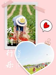 -麦粒鸟亲子游