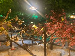 -酷嗒动物文化乐园(cutezoo西溪乐天城店)