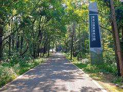-青龙山国家森林公园