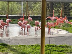 -哈尔滨北方森林动物园