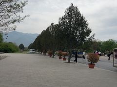 -秦始皇帝陵博物院-丽山园