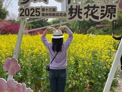 -圩墩遗址公园
