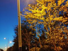 -日照灯塔风景区