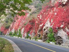 DSC_0048-百里山水画廊乌龙峡谷