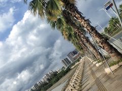 -宝安西湾红树林湿地公园