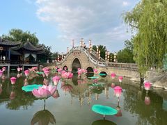 -中国翰园碑林