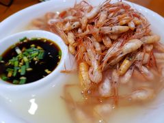 盐水虾-全乐鱼馆·淳牌有机鱼直营店