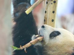 -五龙山野生动物王国