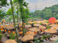 -伴山茶苑·一盏冰茶·半日山居