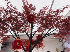 -艾薯夫妇Aysh(福田星河COCOPark店)