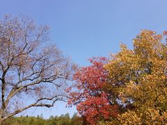 -塔川景区