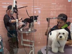 -FAELING PETS美天灵宠物(合生汇店)