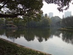 -晓港公园