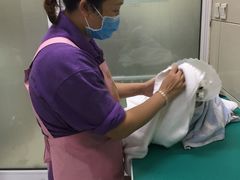 -北京观赏动物医院·24小时大型综合·猫专科·异宠专科