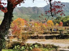 -塔川景区