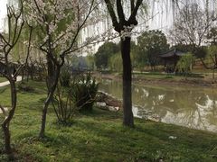 -堤角公园