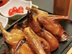 -羽鸽集·乳鸽专门店·地道顺德菜(岭南站店)
