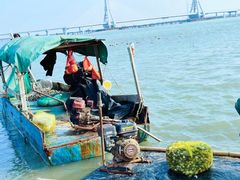 -北海金海湾红树林生态旅游区