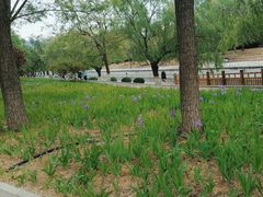 -元大都城垣遗址公园