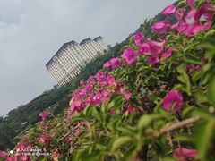 -松山湖风景区松湖烟雨