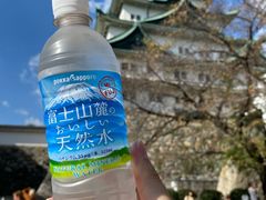 -名古屋城