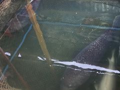 -蓝湾碧波·老字号·疍家非遗海上餐厅