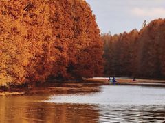 -上海海湾国家森林公园