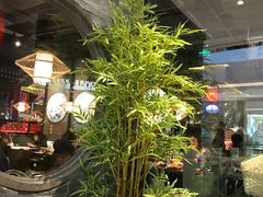 -哥老官重庆美蛙鱼头(宝山龙湖店)