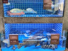-徐记海鲜(梅溪新天地店)