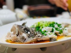 清蒸瓜子斑-广东道至正餐厅(区庄店)