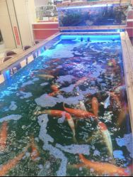 -哈尼鹿儿童乐园(兰州东瓯店)