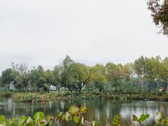 -金银湖国家城市湿地公园