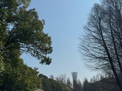 -上海滨江森林公园