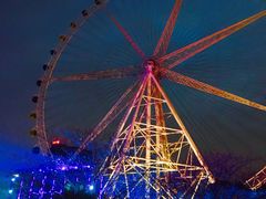 -锦江乐园舞狸花花游园会(夜场专享)